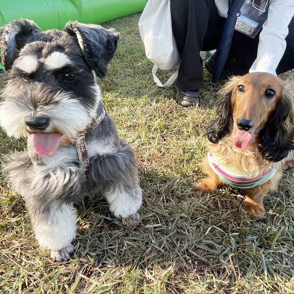 卒業犬のビターちゃんとさとるくん☆